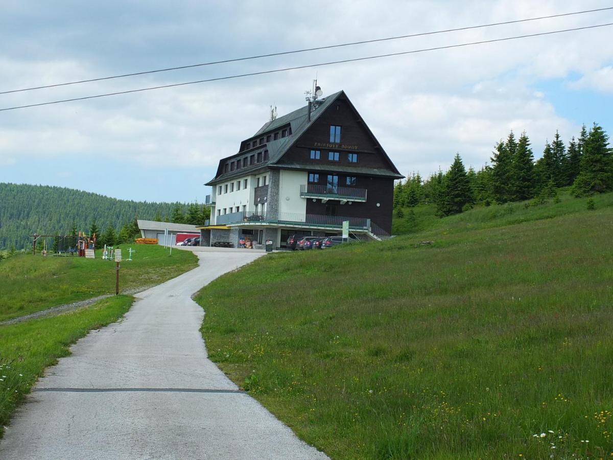 Horsky Hotel Friesovy Boudy Strážné Екстериор снимка